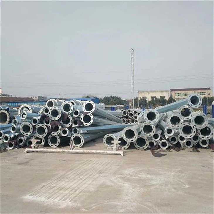 36020240319142245534